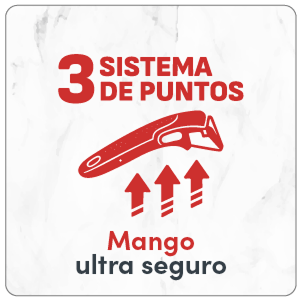 Descripción