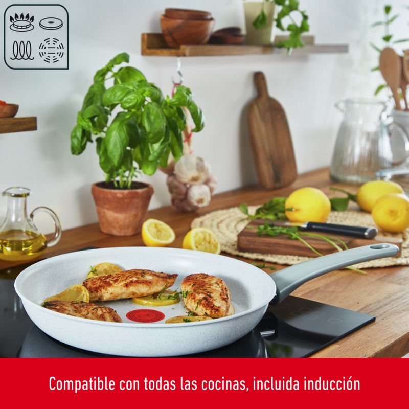 Induccion Al Wok - Temu Chile